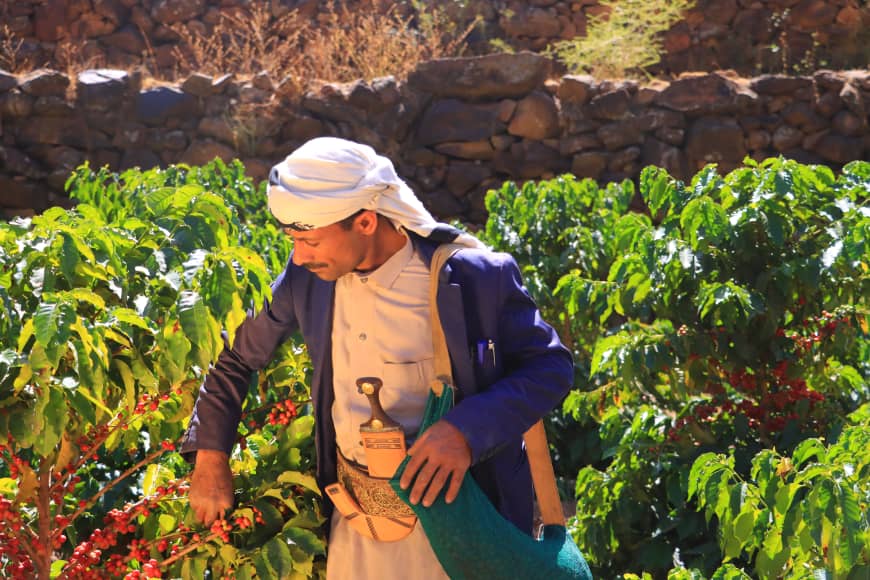 Village Karbah - CAFÉ YÉMEN (Lot A)