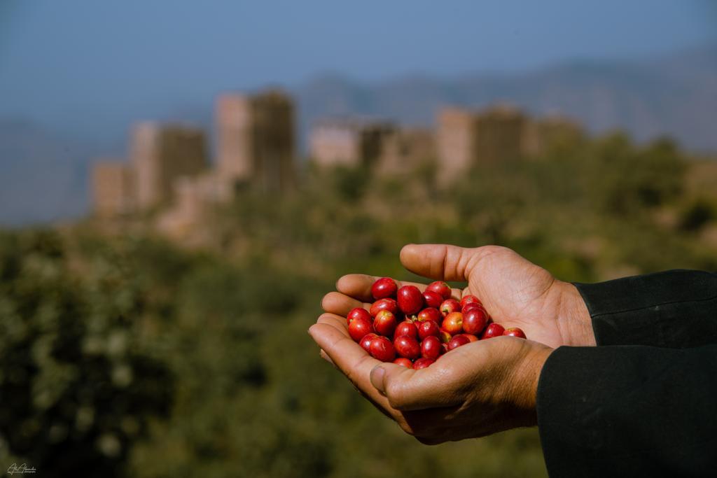 Les montagnes d’Ans - CAFÉ YEMEN