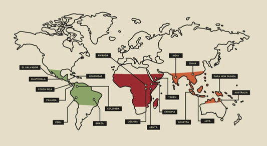 Les meilleures origines de café dans le monde : voyage au cœur de la ceinture du café