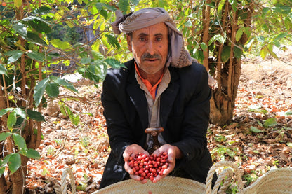 [ÉDITION LIMITÉE] Village Hisn Shaqrouf