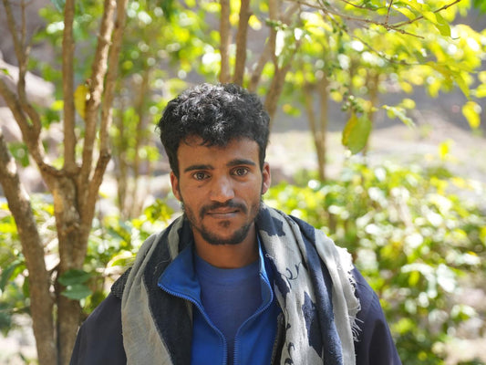 Café vert — Village Bayt Al-Razqi
