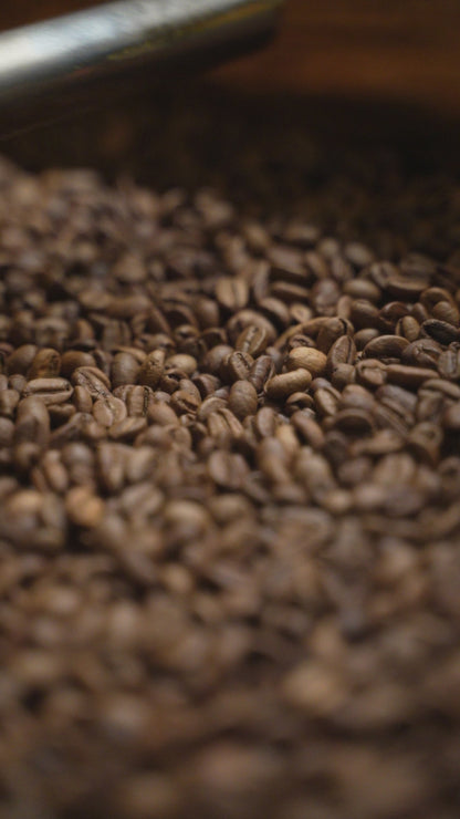 Village Bayt A'llal XI - YEMEN COFFEE